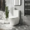 Arezzo Space Saving Combined Two-In-One Wash Basin + Rimless Toilet