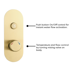 Arezzo Brushed Brass Industrial Style Push Button Shower Valve (1 Outlet) 6 Arezzo Brushed Brass Industrial Style Push Button Shower Valve (1 Outlet) -Bathroom Furniture Store azpb01rbb d1n