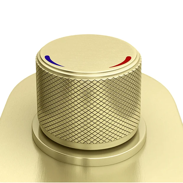 Arezzo Brushed Brass Industrial Style Push Button Shower Valve (1 Outlet) 1 Arezzo Brushed Brass Industrial Style Push Button Shower Valve (1 Outlet)