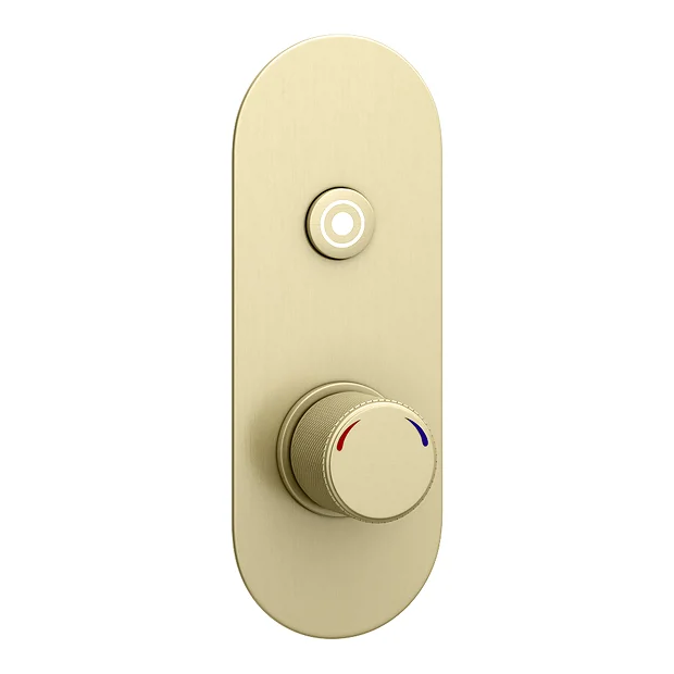 Arezzo Brushed Brass Industrial Style Push Button Shower Valve (1 Outlet) 2 Arezzo Brushed Brass Industrial Style Push Button Shower Valve (1 Outlet) - Image 2