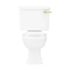 Arezzo Traditional Toilet With Brushed Brass Lever